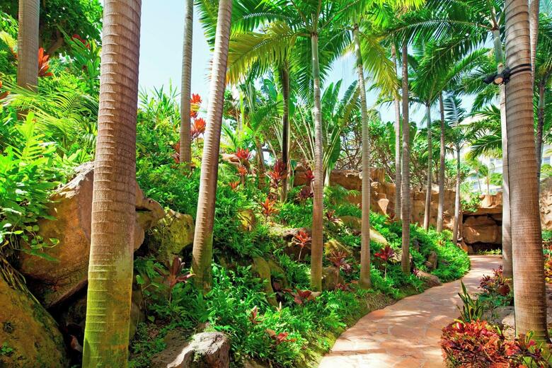 Hotel Westin Maui Kaanapali (duplicate 13320)