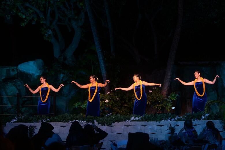 Hotel Westin Maui Kaanapali (duplicate 13320)