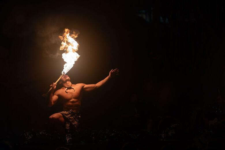 Hotel Westin Maui Kaanapali (duplicate 13320)