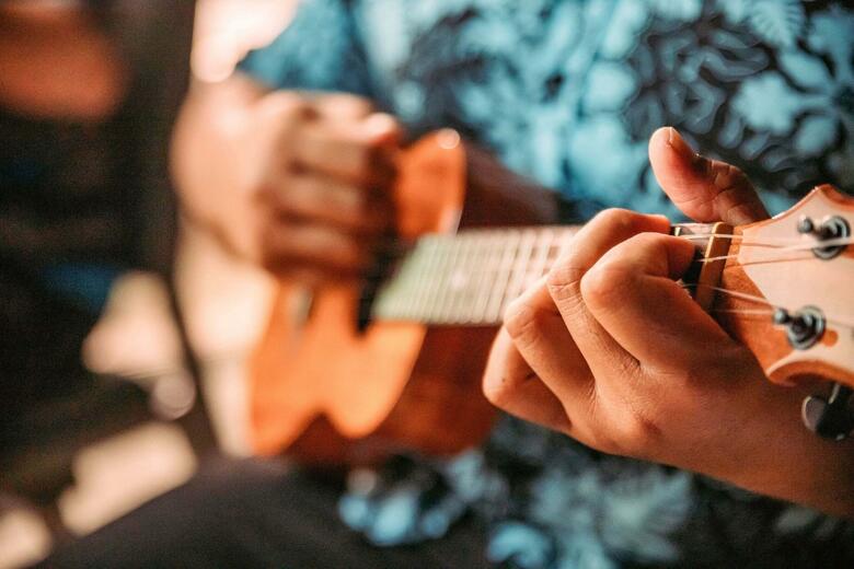 Hotel Westin Maui Kaanapali (duplicate 13320)