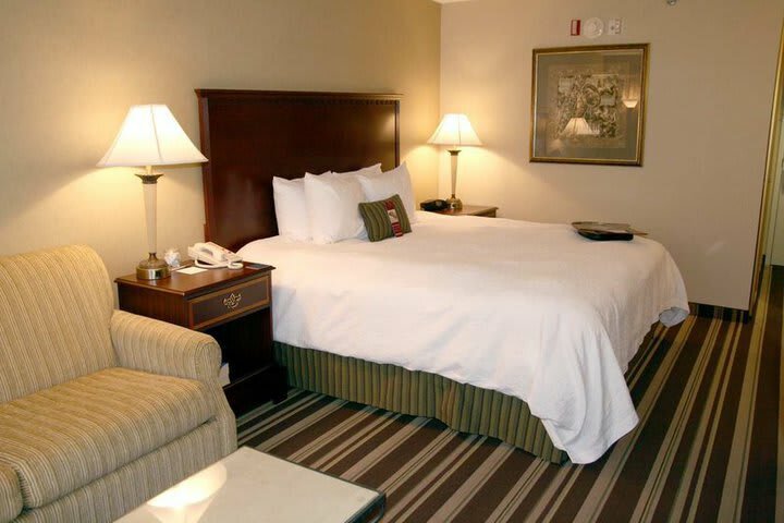 Hotel Hampton Inn & Suites At Beale Street (.)
