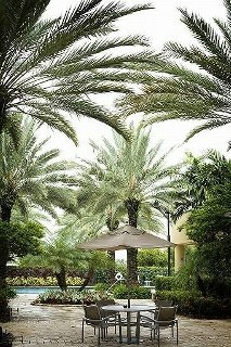 Hotel Intercontinental At Doral Miami