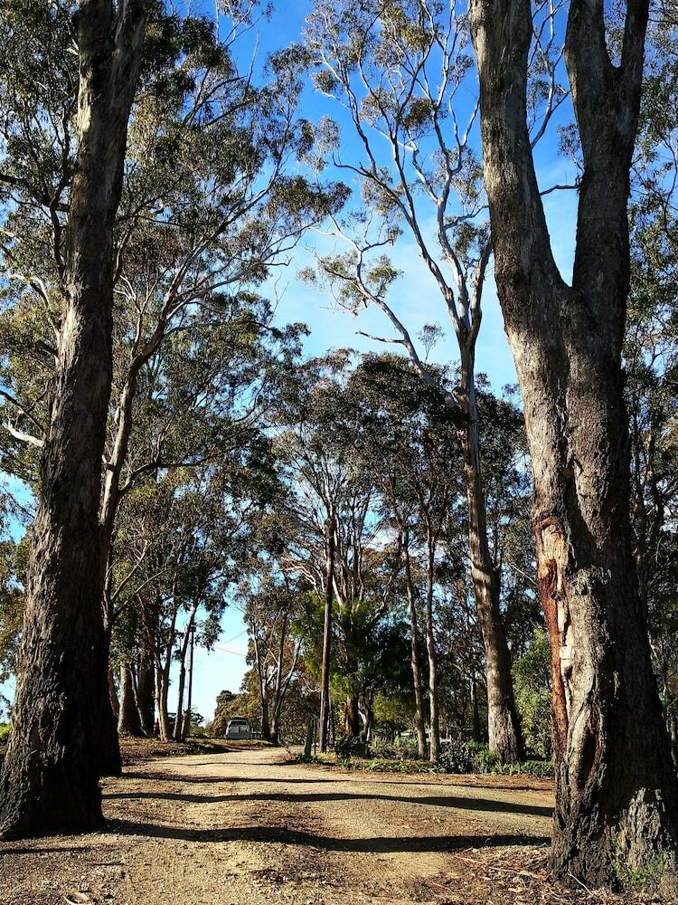 Kalimna Woods Cottages