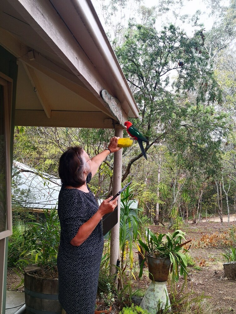 Kalimna Woods Cottages