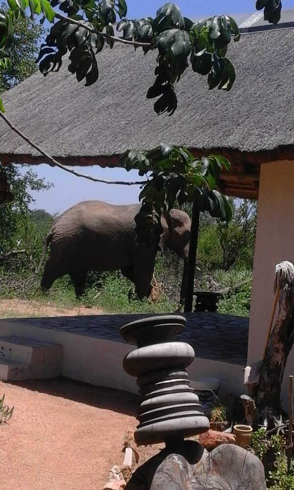 Thula Private Lodge