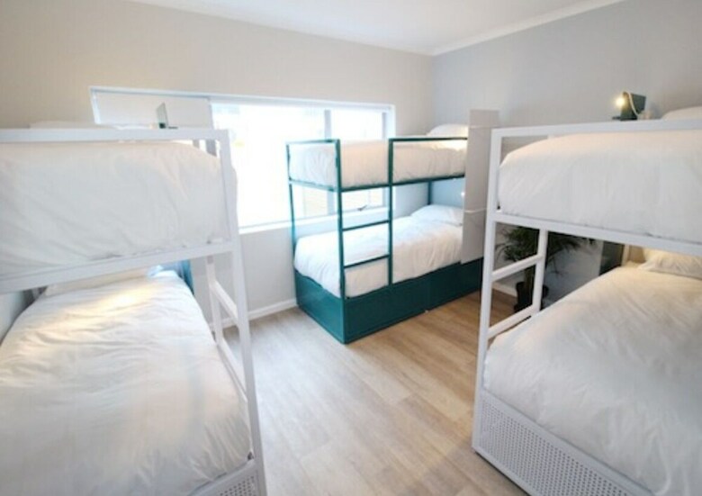 Hostal Curiocity Cape Town - Hostel