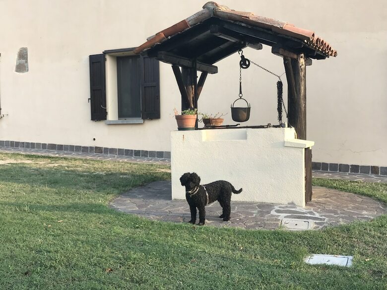 Agroturismo Agriturismo Pizzicalaluna