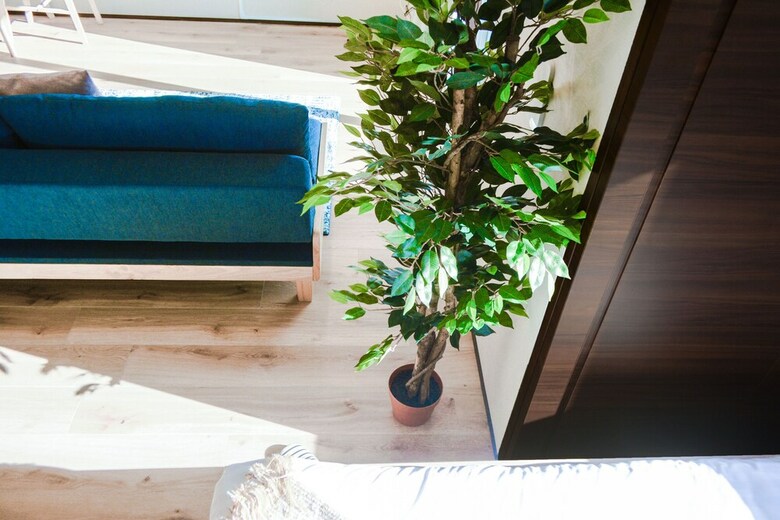 Apartamentos Inthehood: Tsukiji