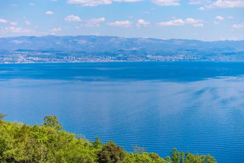 Apartments Davor