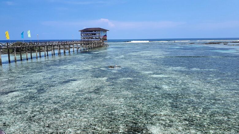 Hotel Daltans Home Stay