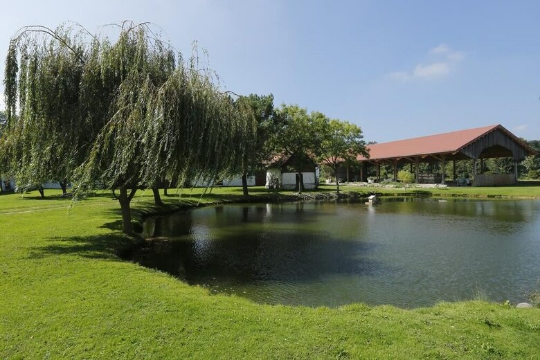 Hotel Domaine De Collen
