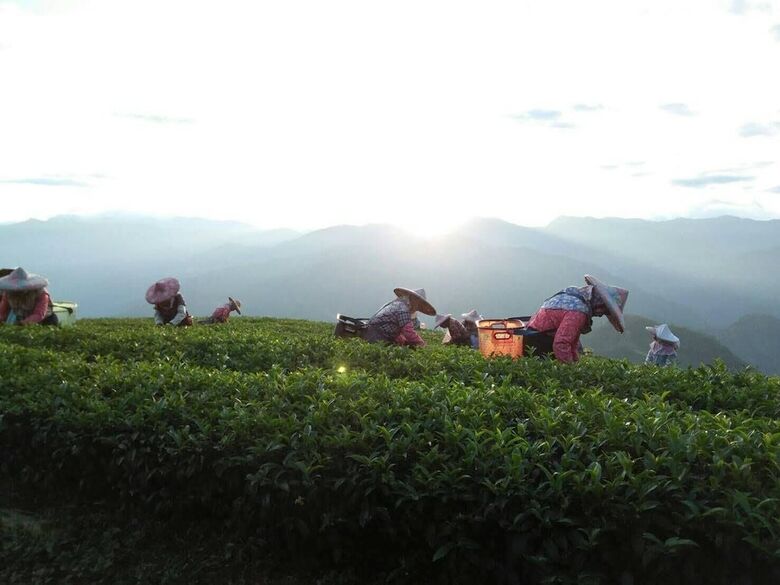 Bed & Breakfast A-li A-li Homestay