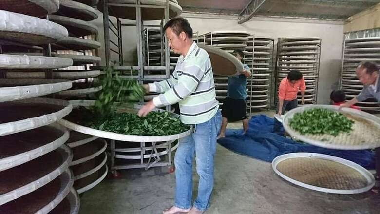 Bed & Breakfast A-li A-li Homestay