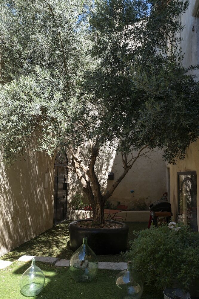 La Paloma B&B