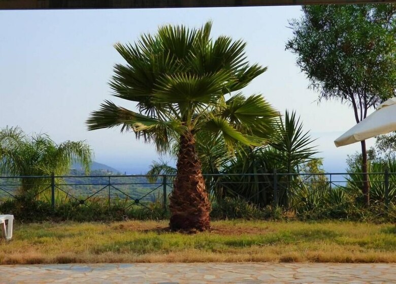 Apartamentos Panoramic Seaview Studio