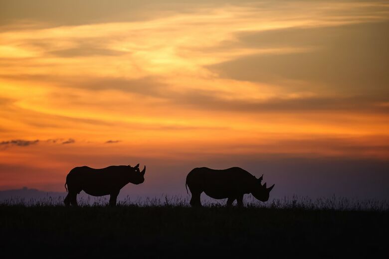 Posada Pondoro Game Lodge - All Inclusive