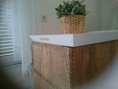 Apartment Punta