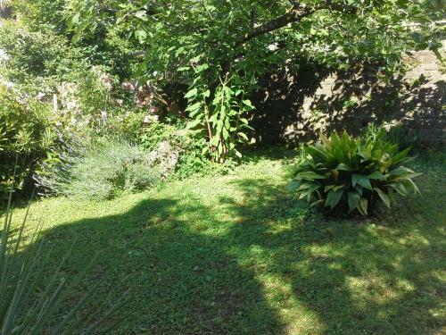 Apartments Piran Garden