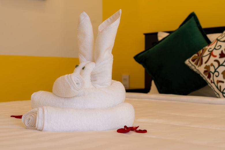 Hotel Hoi An Coco Viet Homestay