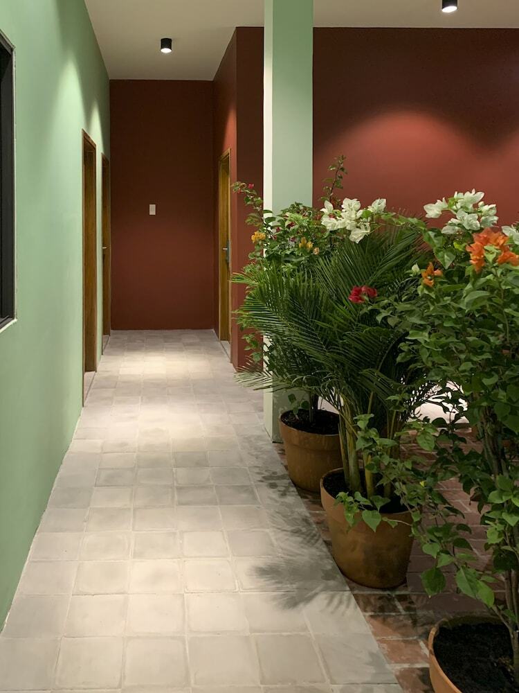 Hotel Chi Hieu Homestay