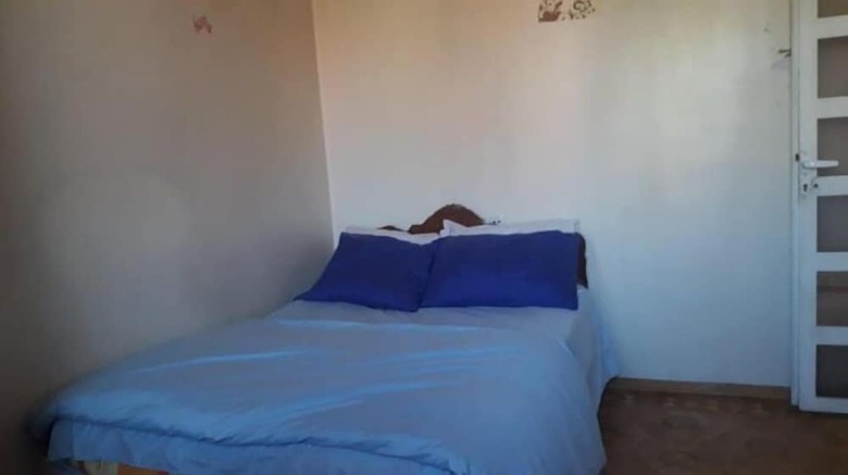 Hostal Shamrock Hostel 18