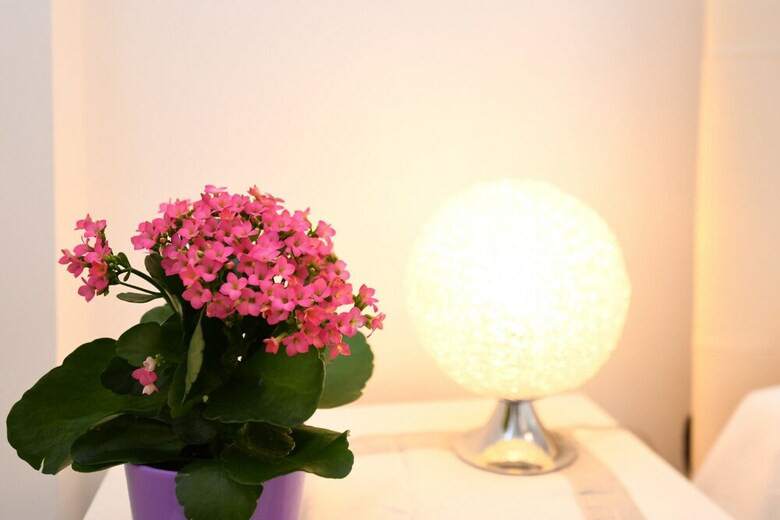 Apartamento Gardagate - La Castellana 2