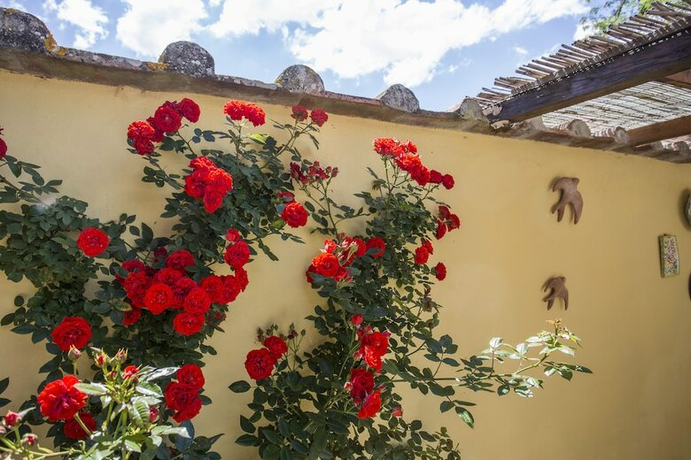 Agroturismo Casa Carlotta
