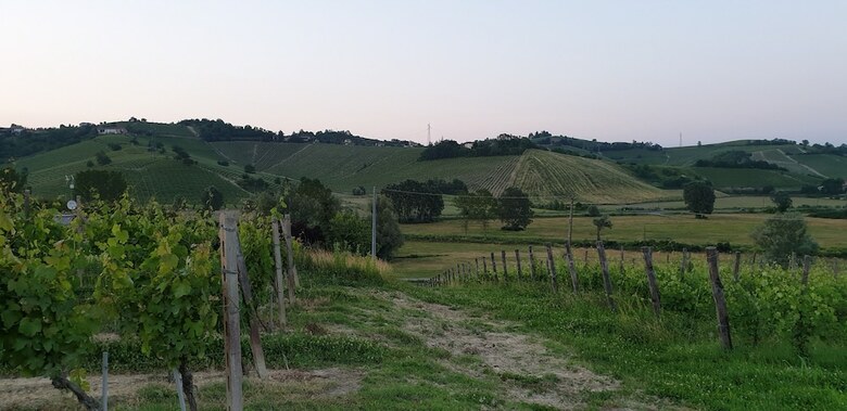 Agroturismo Villa Vigneto