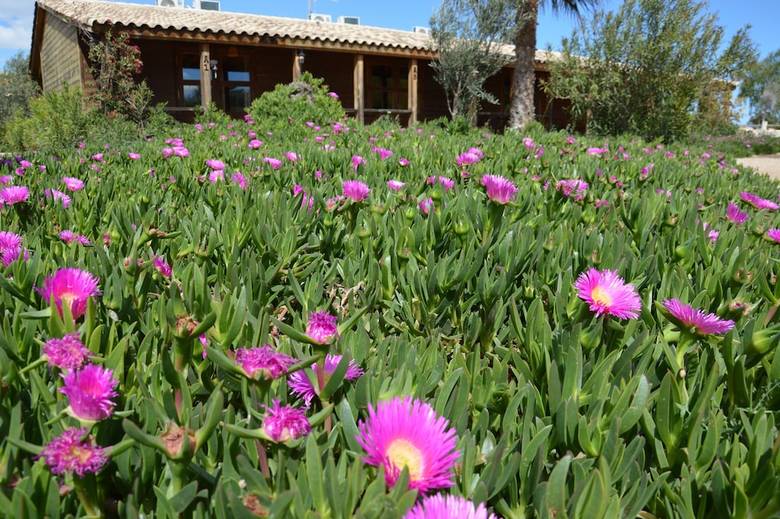 Posada El Rancho