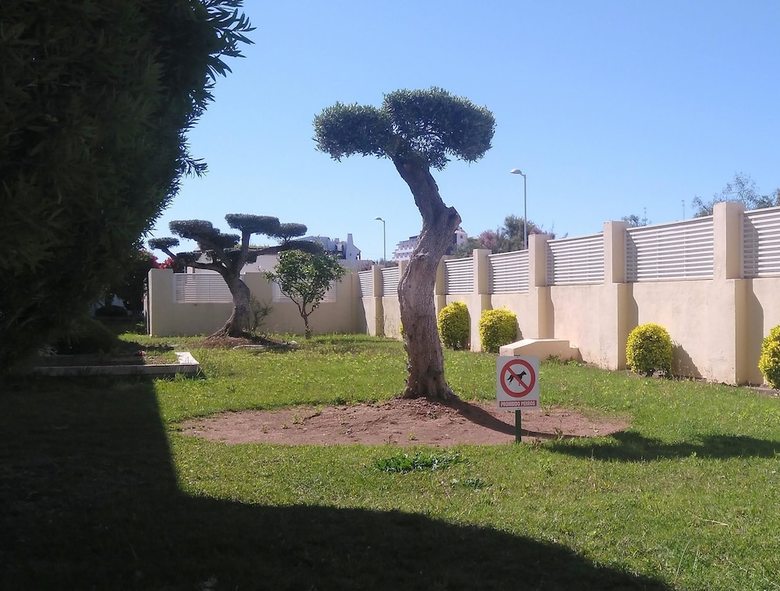 Ap Costas Argenta Caleta Apartamento 2 Dormitorios