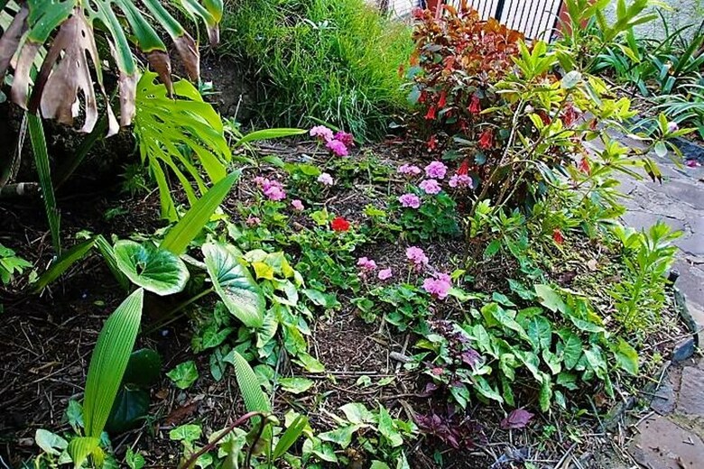 Bungalow With One Bedroom In S�o Martinho, Funchal, With Wonderful Sea View, Enclosed Garden And Wifi