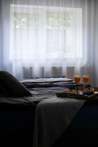 �htu P�ik Apartment