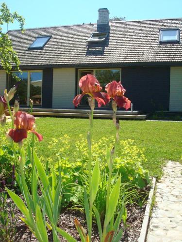 Lembitu Holiday Home