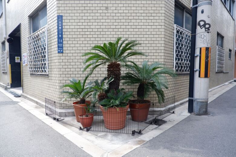 Apartamentos Ryota's Room