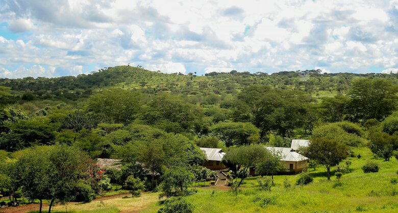 Posada Teen Ranch Camp