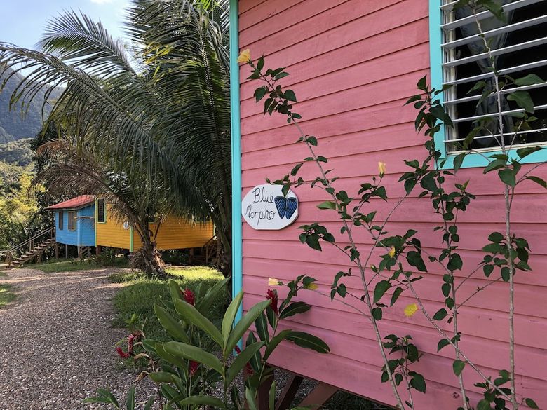 Posada T.r.e.e.s Research Center And Eco Lodge