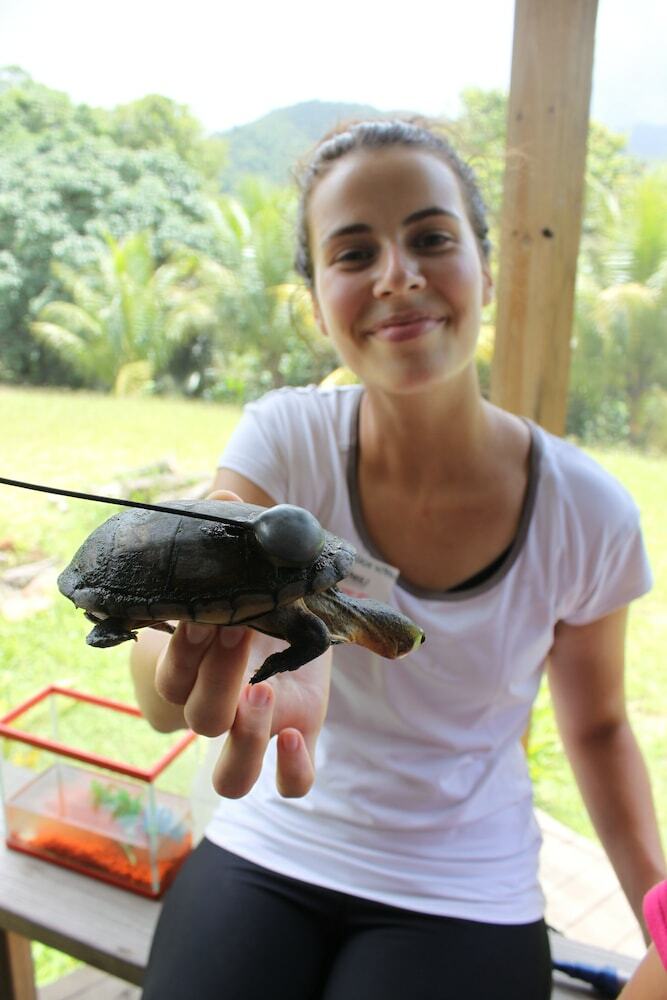 Posada T.r.e.e.s Research Center And Eco Lodge