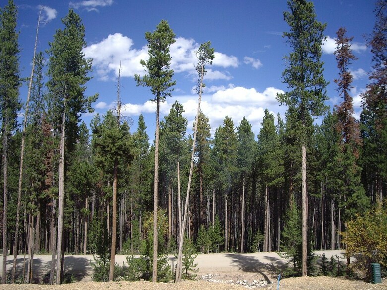 Alante Vista Unit 16 By Stay Winter Park