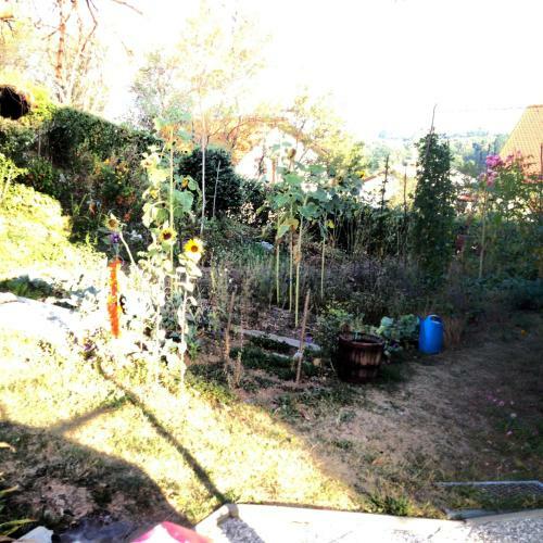 Hostal Tourist Rooms Sajovic