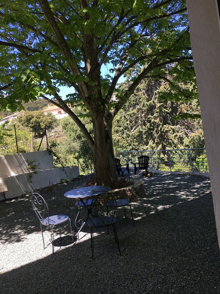 Elegant Apartment With Private Garden