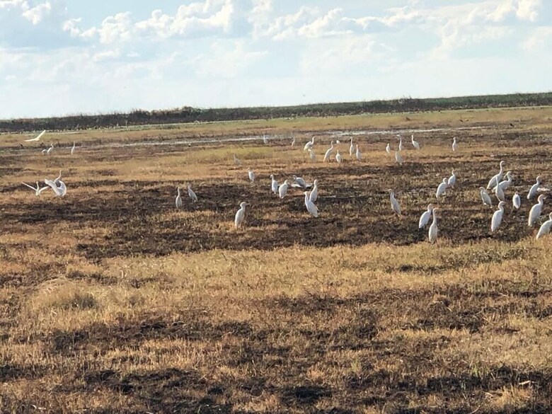 Lochinvar Safari Lodge