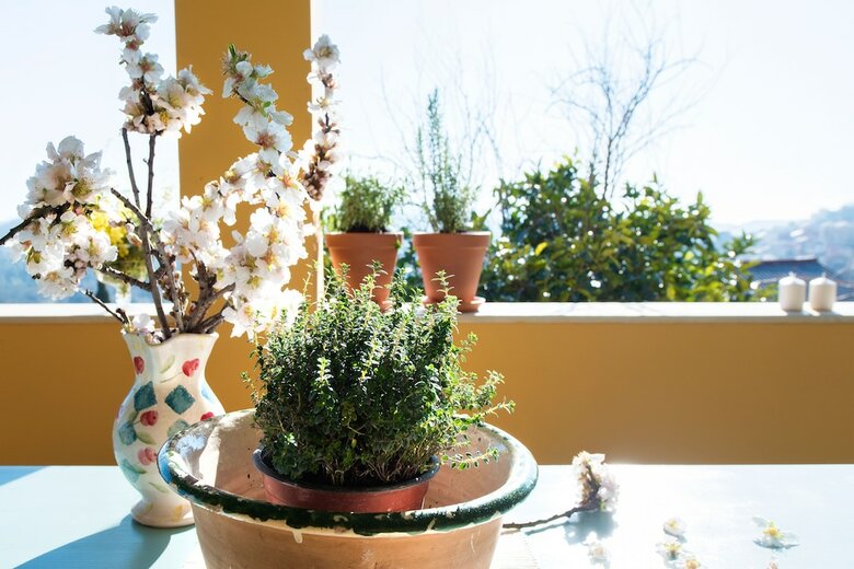 Apartamentos Youkali House