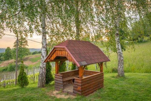 Vineyard Cottage Krivic