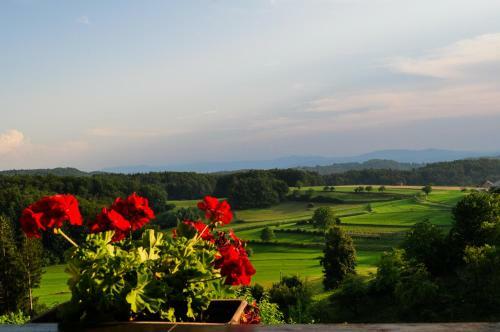 Vineyard Cottage Krivic