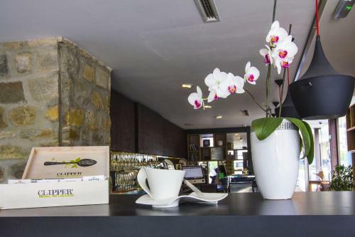 Apartments & Suites Veneziana