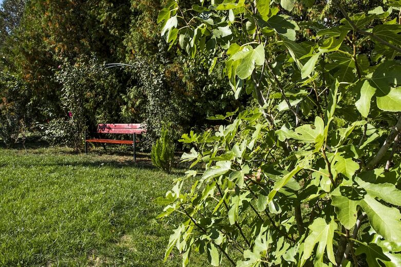 Aparthotel Feng Shui Wellness Apartmanh�z