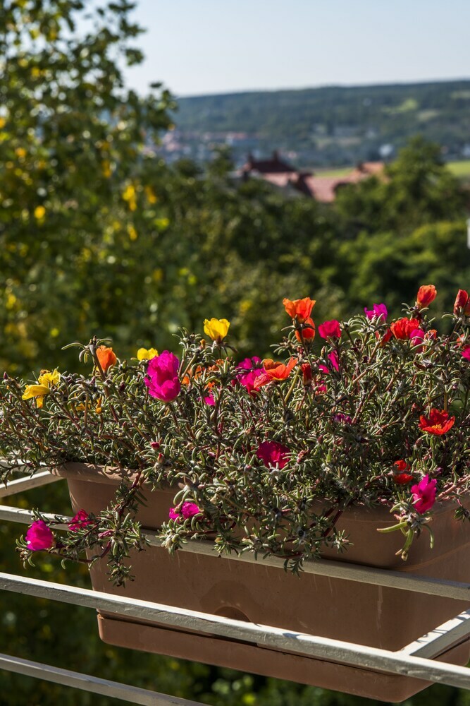 Aparthotel Feng Shui Wellness Apartmanh�z