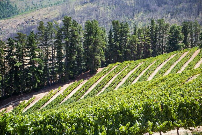 Hotel Maison Montagne