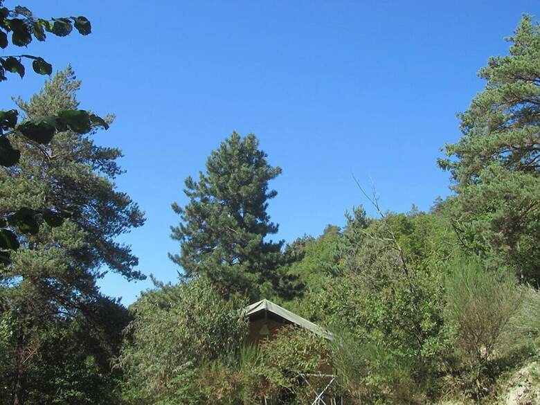 Camping Domaine Saint Martin