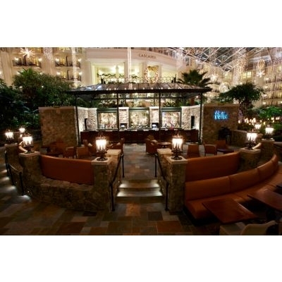 Hotel Gaylord Opryland Resort